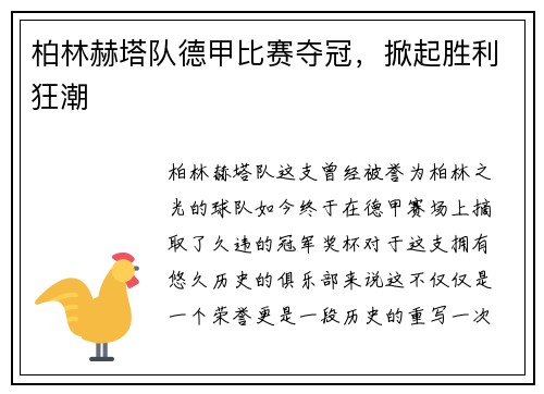 柏林赫塔队德甲比赛夺冠，掀起胜利狂潮